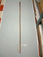 藏品(槍)的圖片